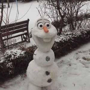 Meet your Posher, Julia